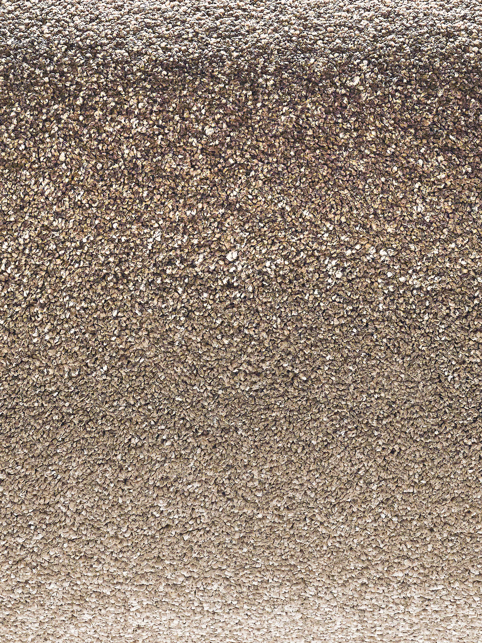 Sovereign Hochflor-Teppich, Mocca