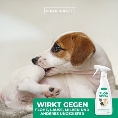 Silberkraft Insektenspray Flohspray Hunde & Katzen, 500 ml, 1-St.