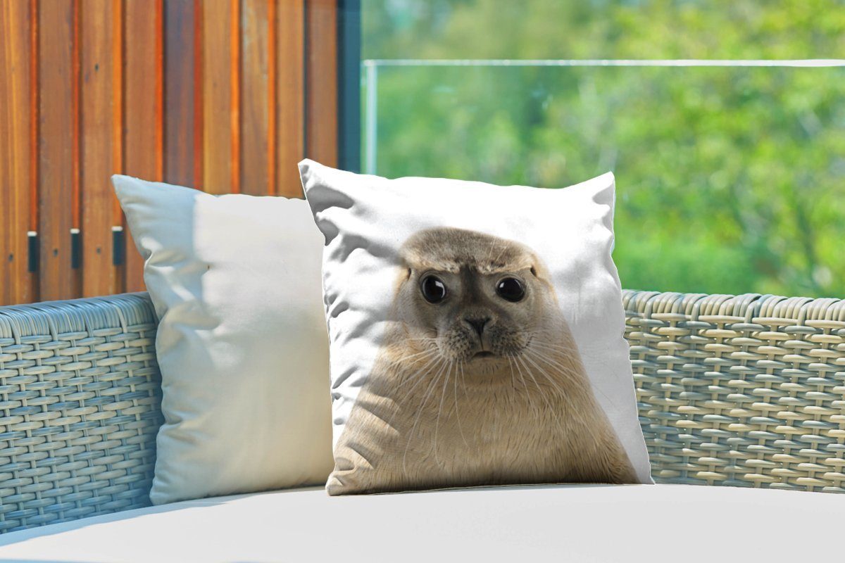 MuchoWow Dekokissen Jungen - Robbe - Kinder - Mädchen - Tiere, Kissenbezüge, Kissenhülle, Dekokissen, Dekokissenbezug, Outdoor