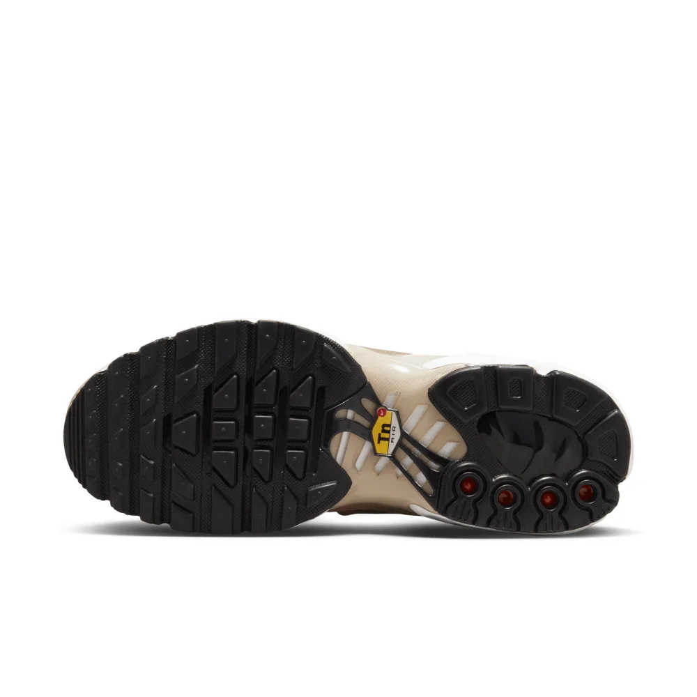Nike Air Max Plus FB2557-200 / braun