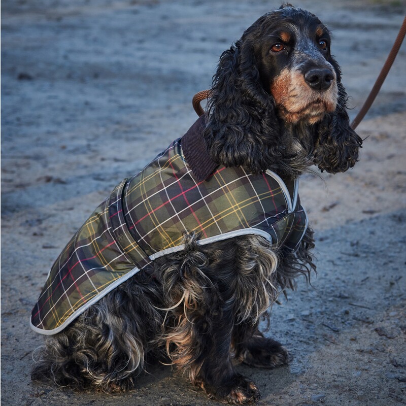 Barbour Hundemantel Waterproof Tartan