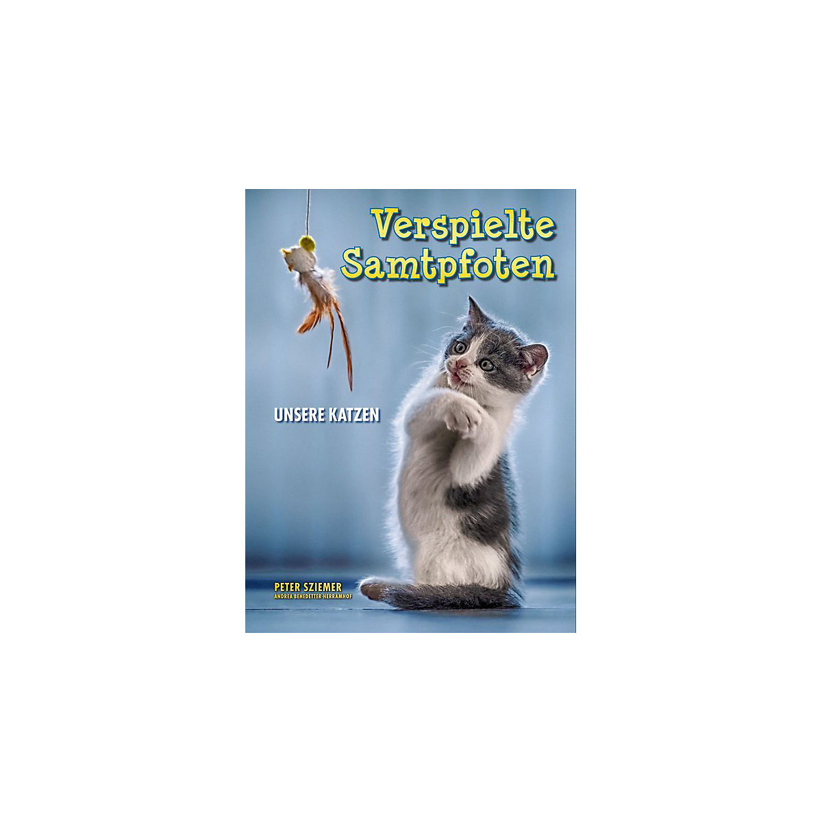 Verspielte Samtpfoten