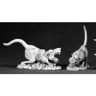 Barrow Rats (2)