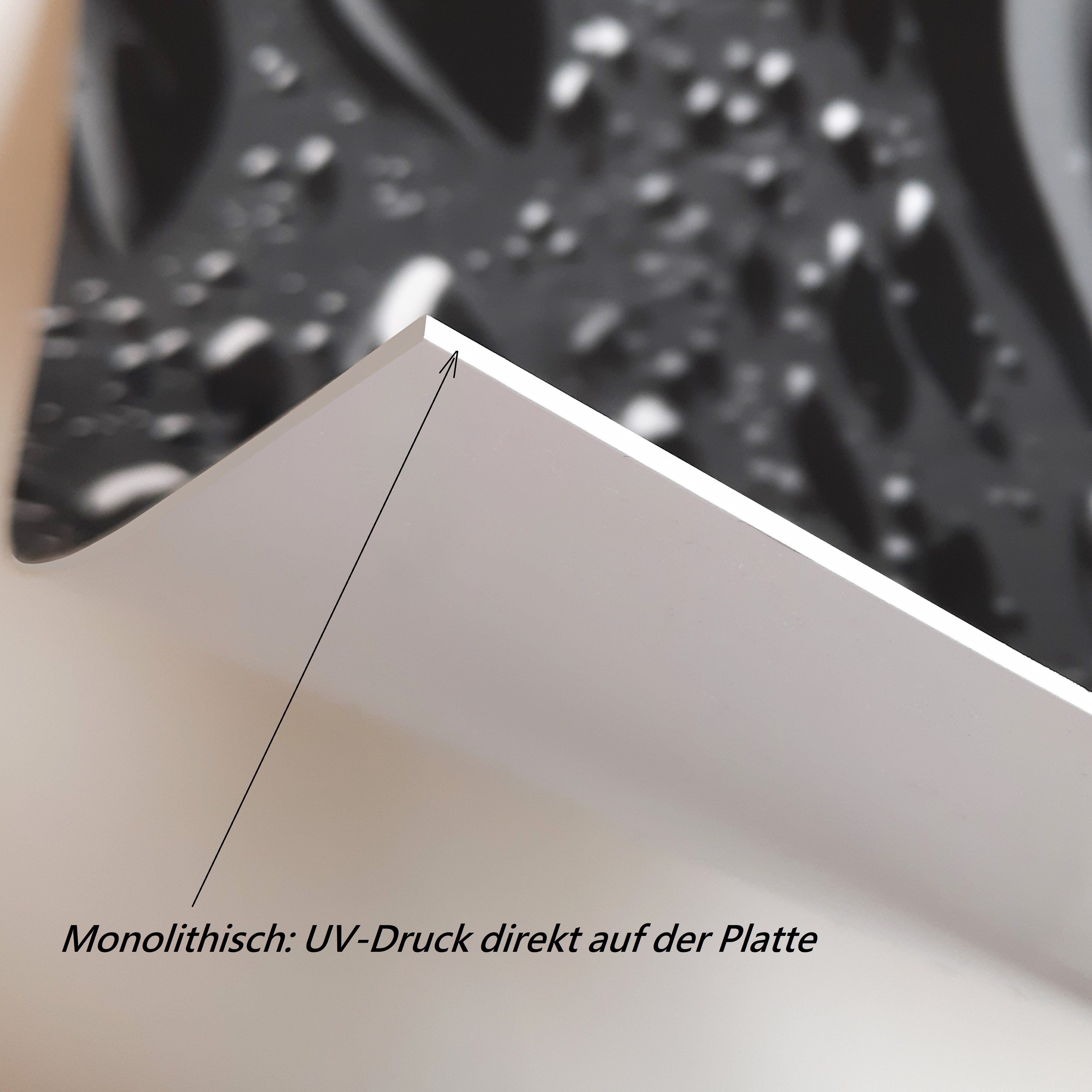 Rodnik Küchenrückwand Eiswürfel und Kirschen, ABS-Kunststoff Platte Monolith in DELUXE Qualität mit Direktdruck