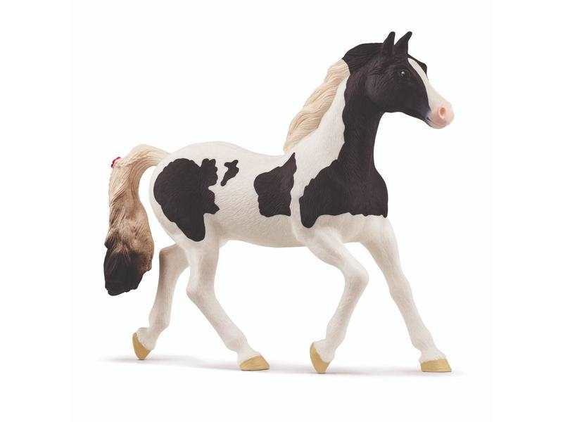 Jument Paint horse
