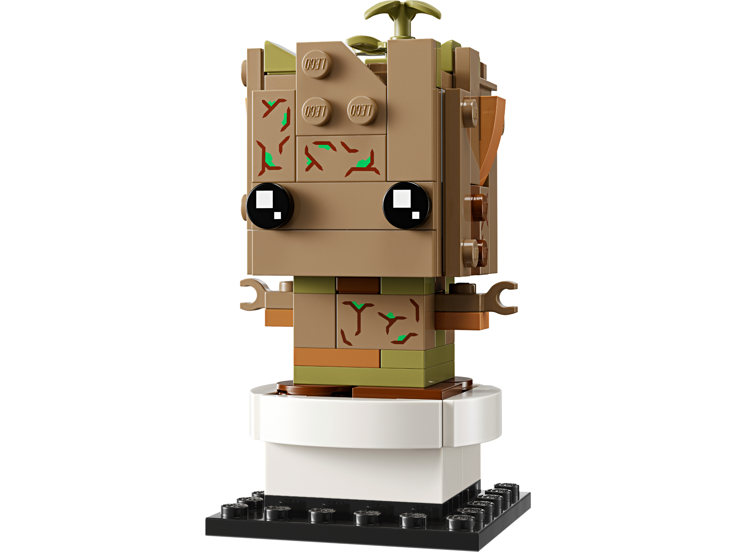 Groot im Topf 40671