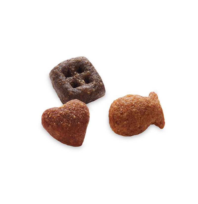 Sparpaket Catessy Knuspersnacks 5 x 65 g zu TOP-Preisen | bitiba