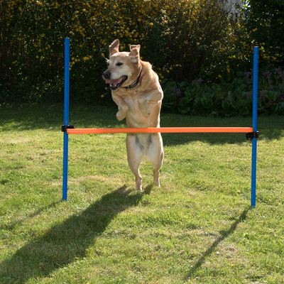 Agility Fun & Sport Komplett-Set