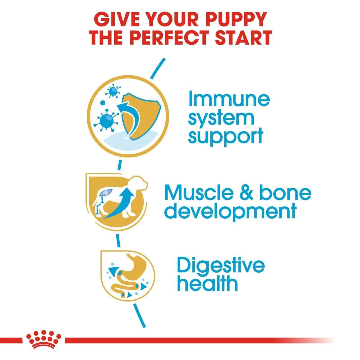 ROYAL CANIN Rottweiler Puppy Welpenfutter trocken bei ZooRoyal