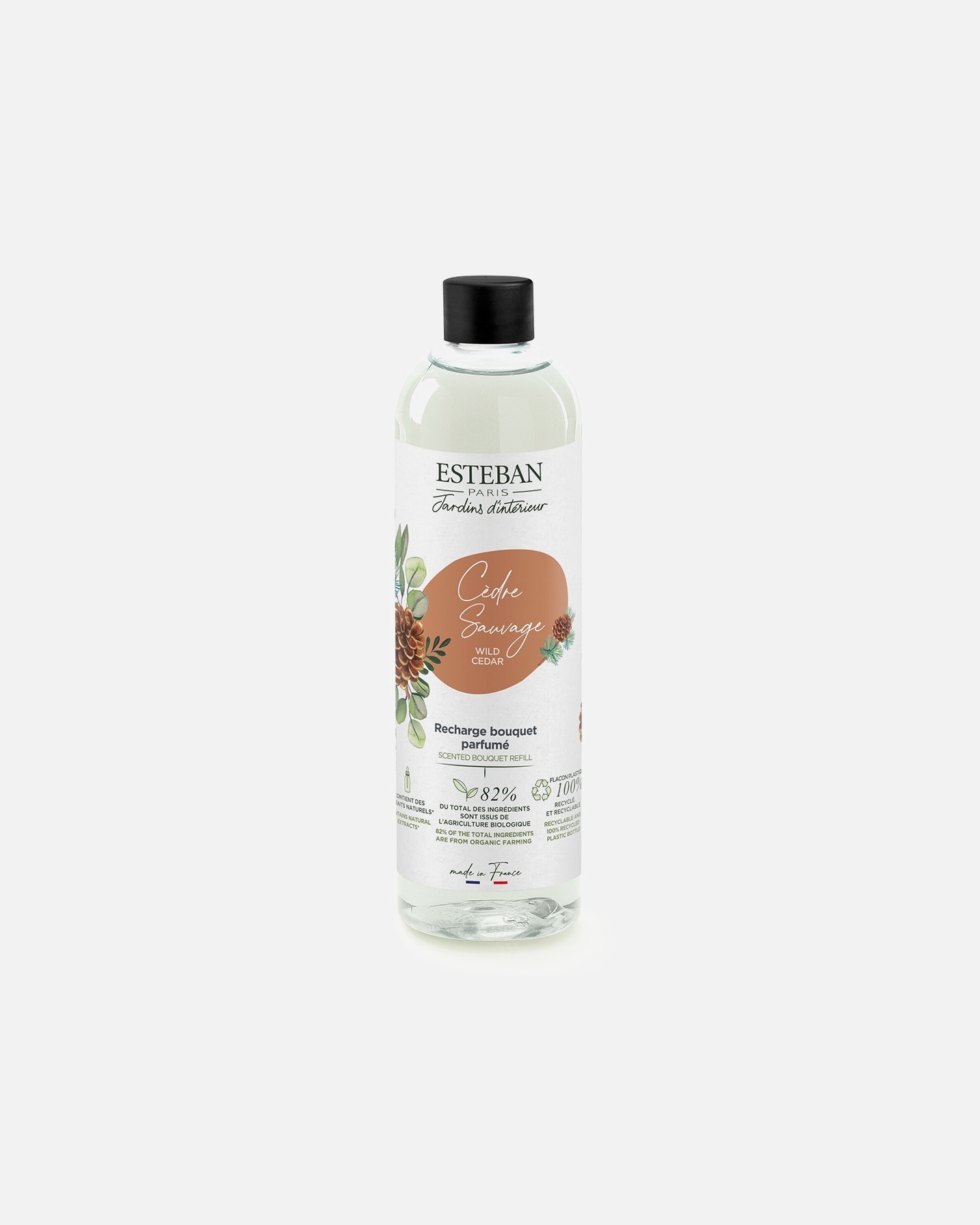 Esteban Wild Cedar