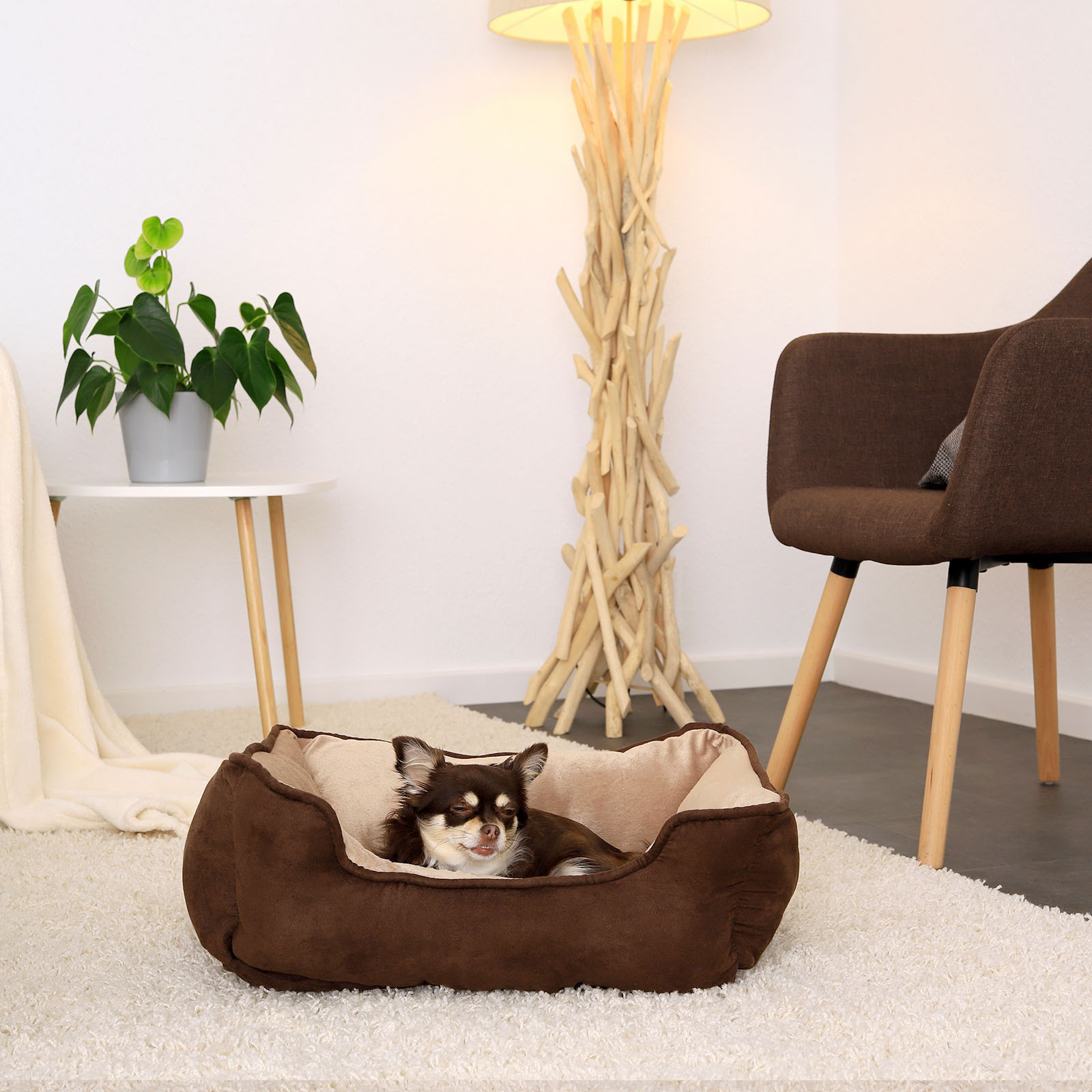 Lionto Hundebetten Lionto 2-in-1 Hundebett Hundekissen S