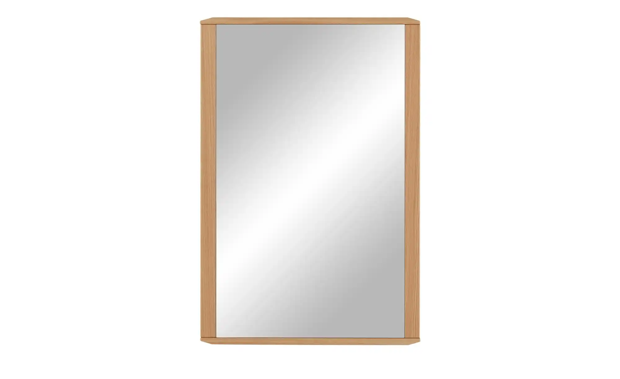 Spiegel 56 x 83,5 cm