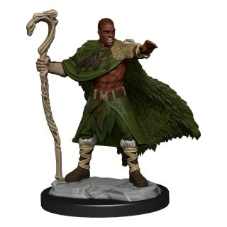 D&D Nolzur's Marvelous Miniatures - Human Druid Male