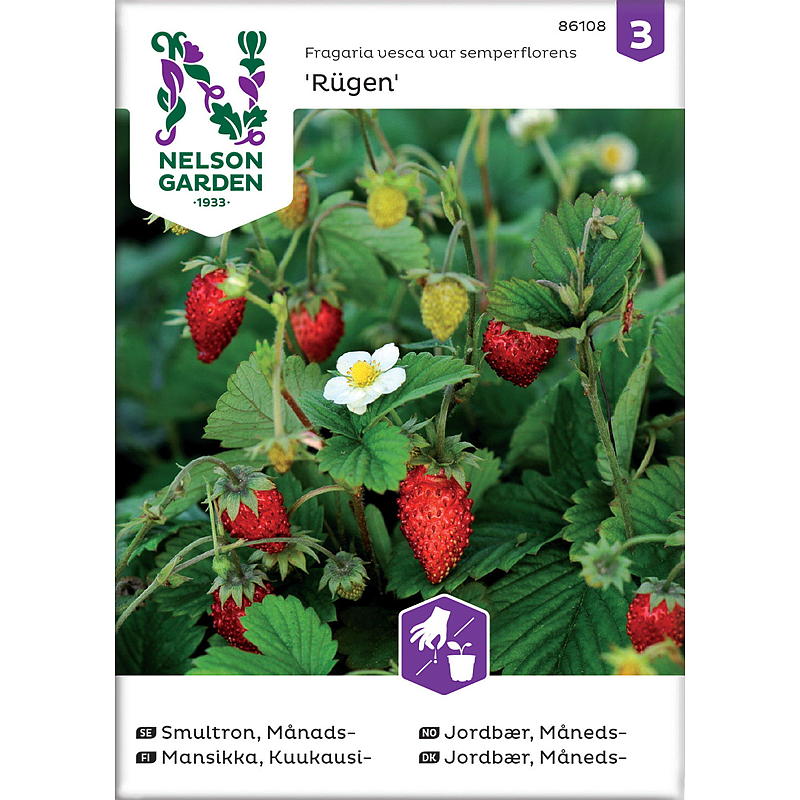 Nelson garden Frø Jordbær Måneds-, Rügen