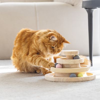 Designed by Lotte Holz-Spielturm Mia für Katzen