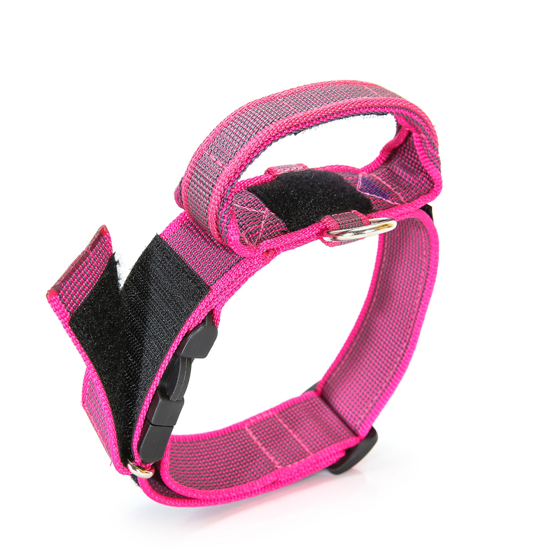 JULIUS-K9 Hundehalsbänder JULIUS-K9 Halsband mit Griff 50mm pink