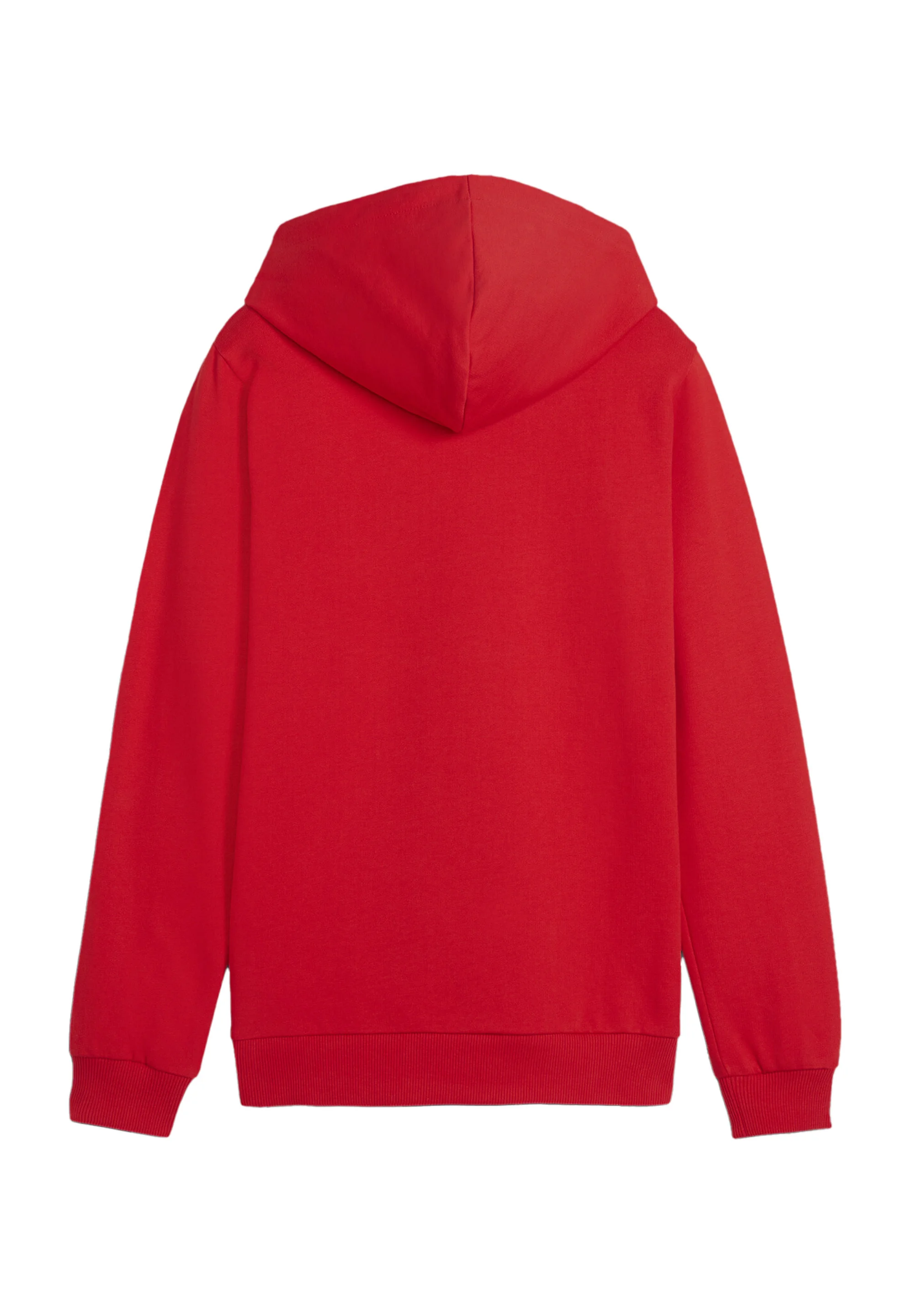 Puma TEAMGOAL - Sudadera con capucha
