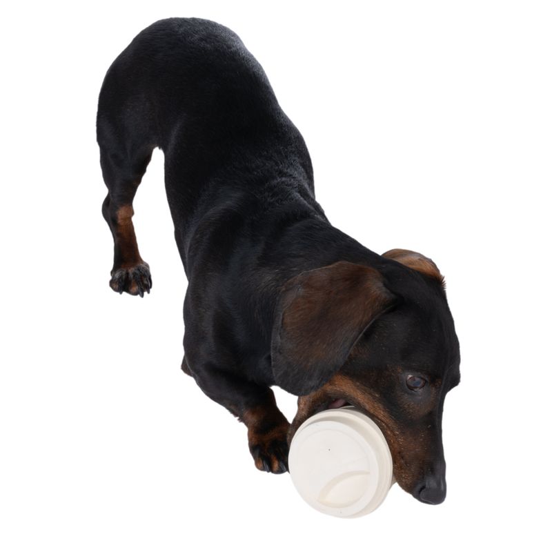 TIAKI Hundespielzeug Latex Kaffee zu TOP-Preisen