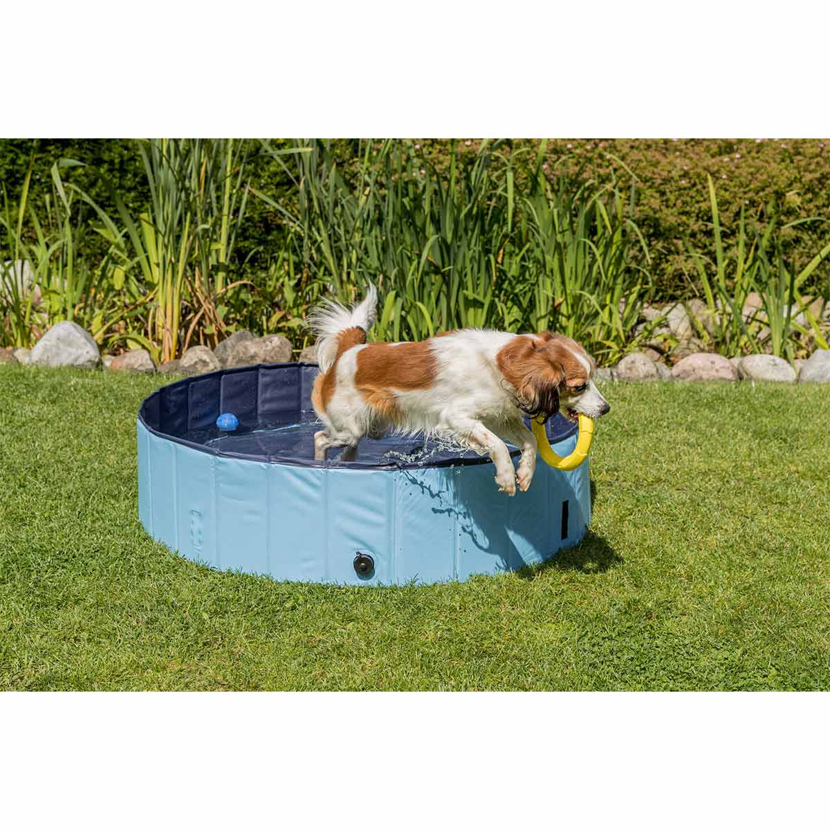 Trixie Hundepool hellblau günstig kaufen bei ZooRoyal