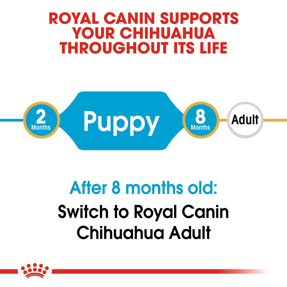 ROYAL CANIN Chihuahua Puppy Welpenfutter trocken bei ZooRoyal
