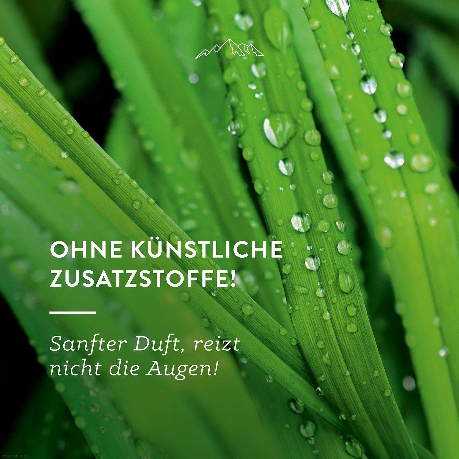 Allgäuquelle Raumduft Bio Infrarotkabinen-Spray Allgäuer Erfrischung Raumduft (1 x 100ml), mit Lemongrass, Orange und Bergamotte