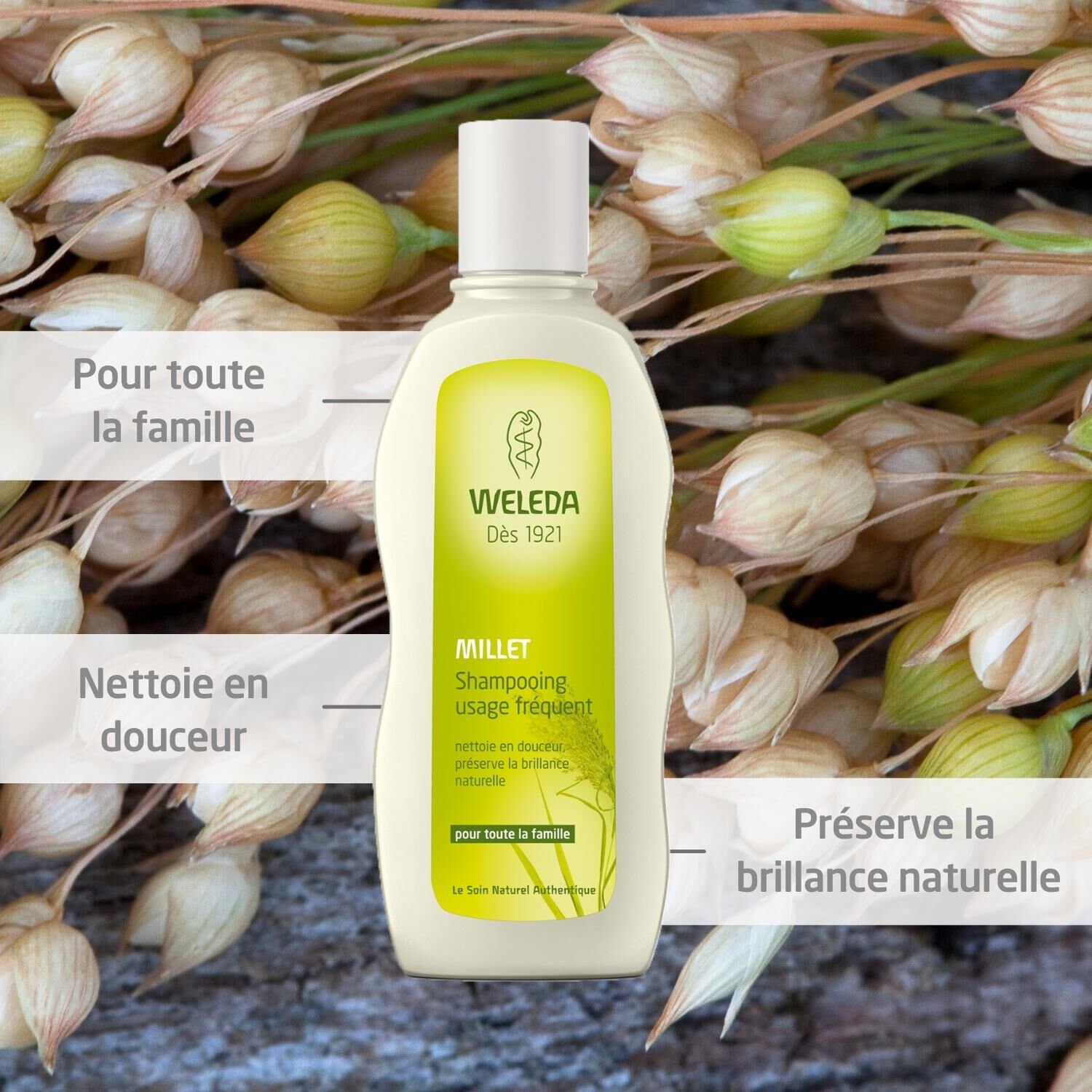 Weleda Millet Shampooing Usage Fréquent - Pour Toute la Famille -190 ml