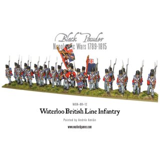 Napoleonic Waterloo British Line Infantry (24)