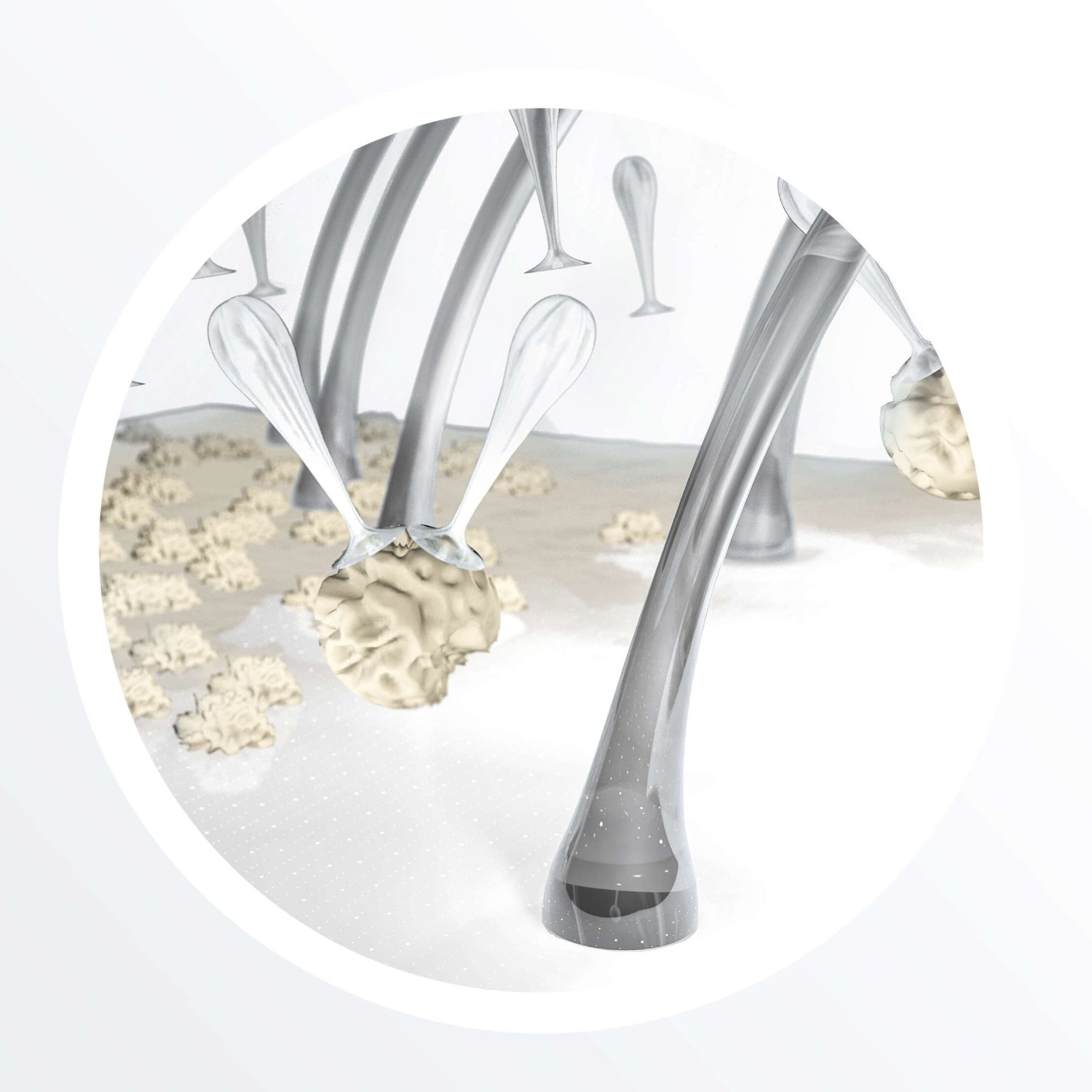 Nioxin System 3 valiklis