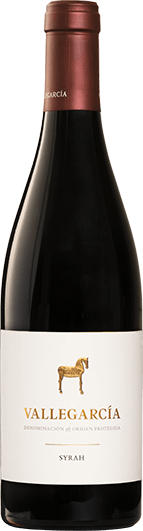 Vallegarcía : Syrah 2021