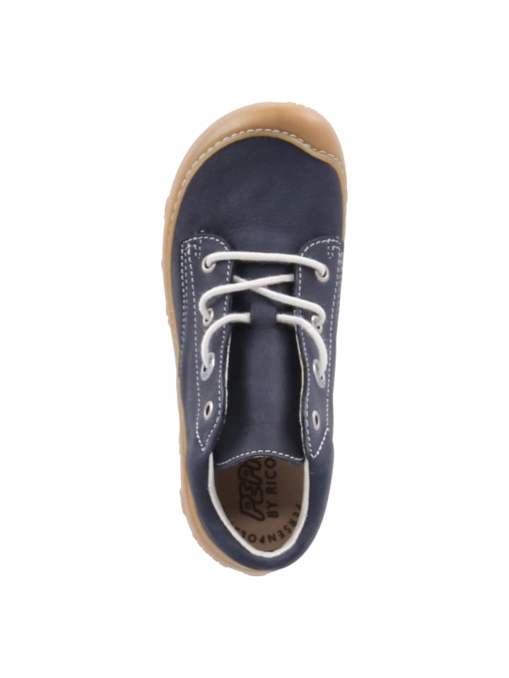PEPINO Schnürschuhe CORY in Blau günstig kaufen