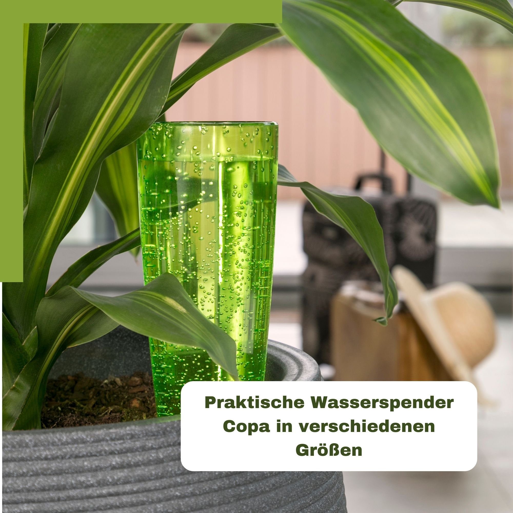 Scheurich Bewässerungssystem Copa XL 5x Grün 500 ml Füllmenge Wasserspender, (Spar-Set, 5-tlg), Scheurich Wasserspender Copa XL 500 ml