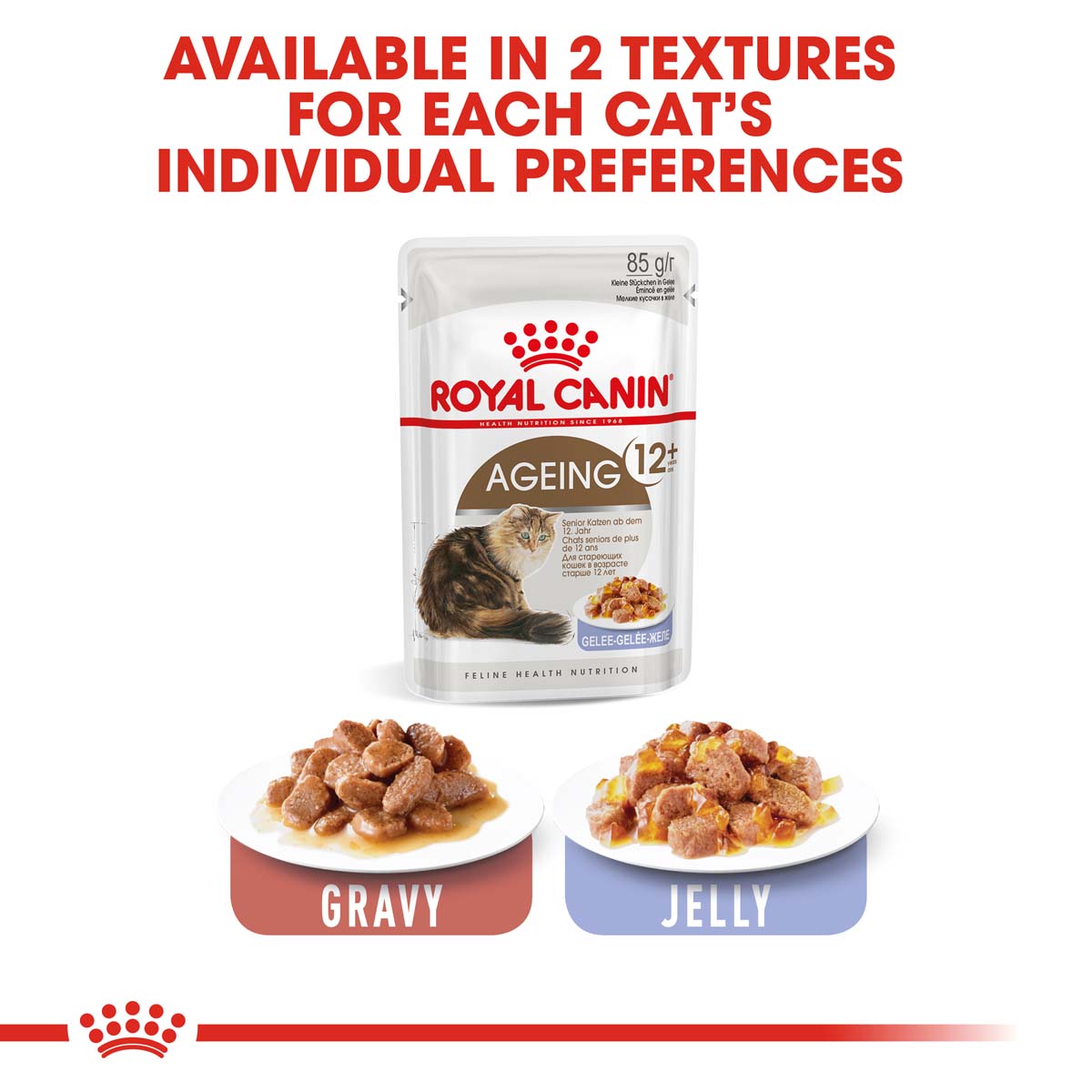 ROYAL CANIN AGEING 12+ für Katzen günstig kaufen bei ZooRoyal