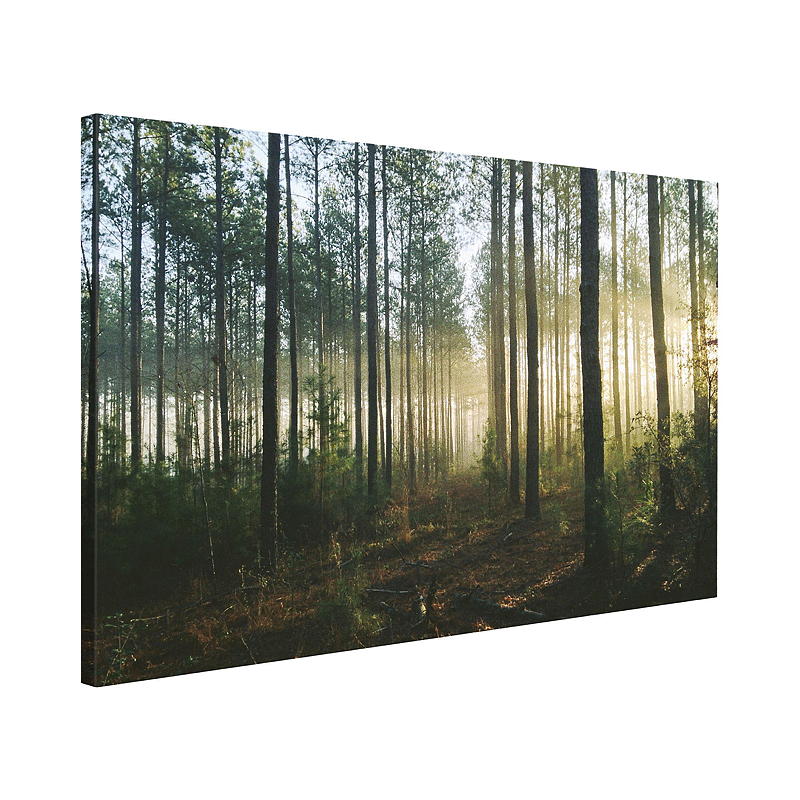 Home Canvasbilde 40x60 cm
