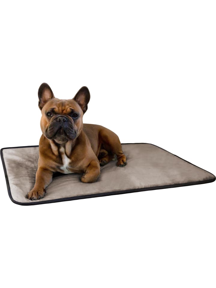 Aspero Hundedecke Lund in Beige günstig kaufen