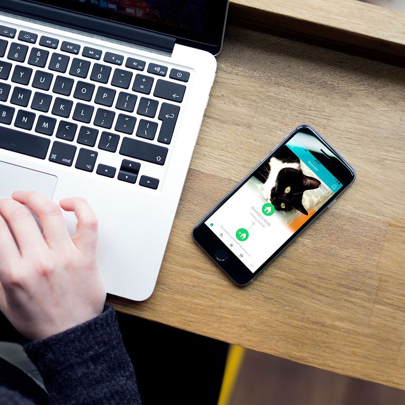 SureFlap Mikrochip Haustierklappe Connect zu TOP-Preisen | bitiba