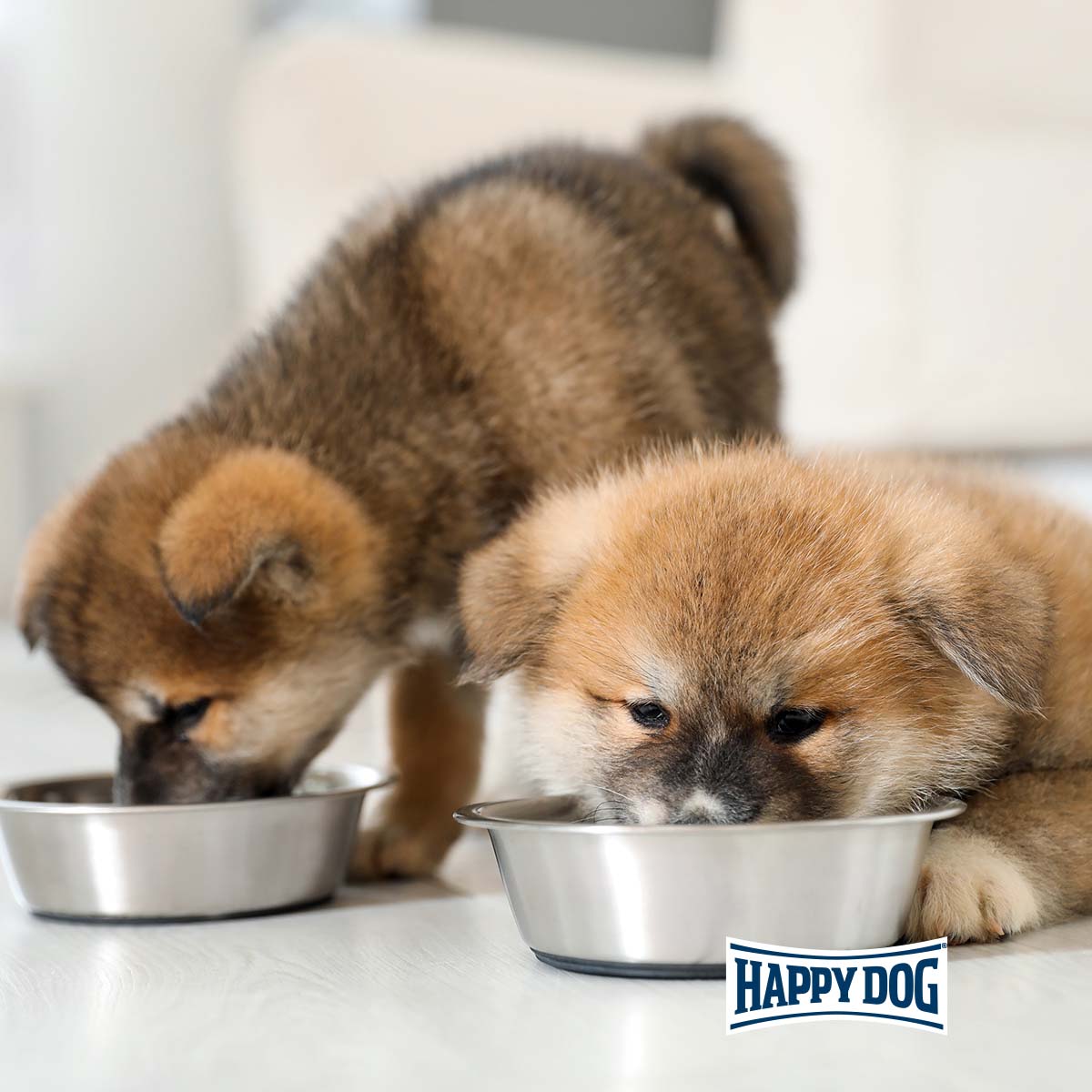 Happy Dog Supreme Young Puppy Starter Lamm & Reis 1,5kg