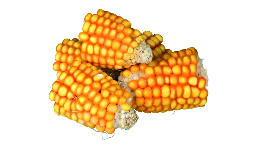 Trixie Nagersnack Natur Maiskolbenstücke 300g 300 g