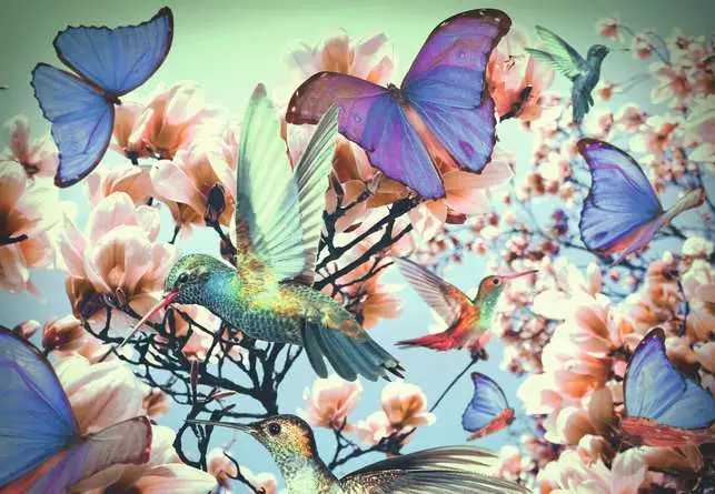 Puzzle 300 Teile - Hummingbird