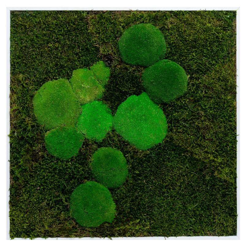 best of GREEN Moos-Wand boGMbWKm100x60HoWe Grün