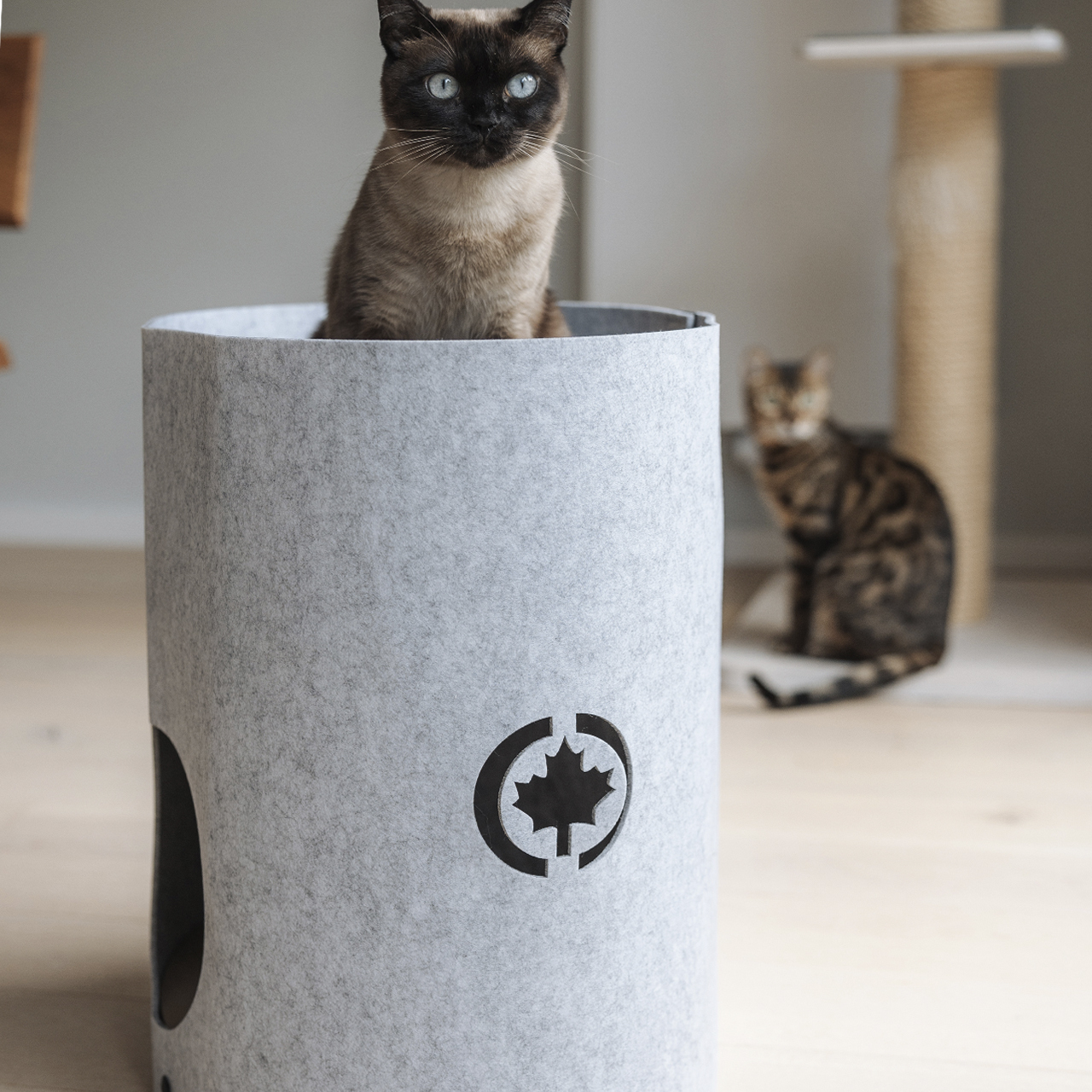 Canadian Cat Company Katzenbetten & Katzensofas Canadian Cat Company Filzbett Owen-Tower