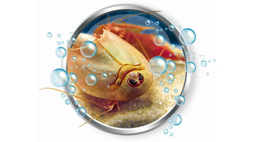 Clementoni - Galileo - Original Triops Maxi de Luxe