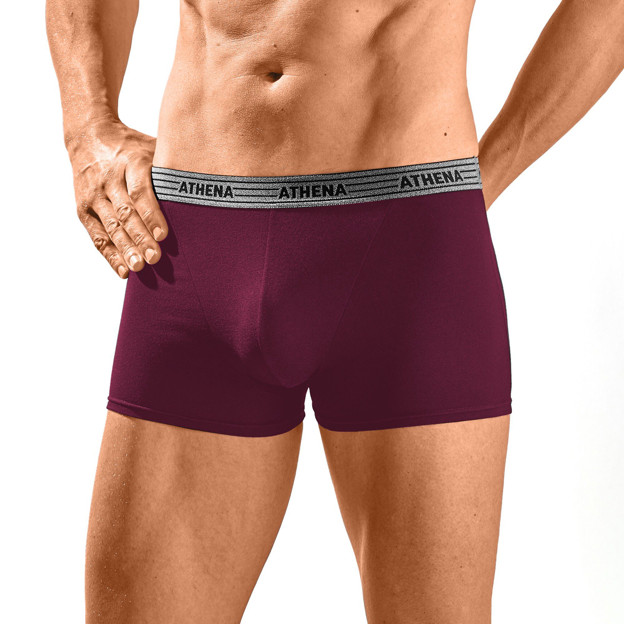 Boxer Basic Coton