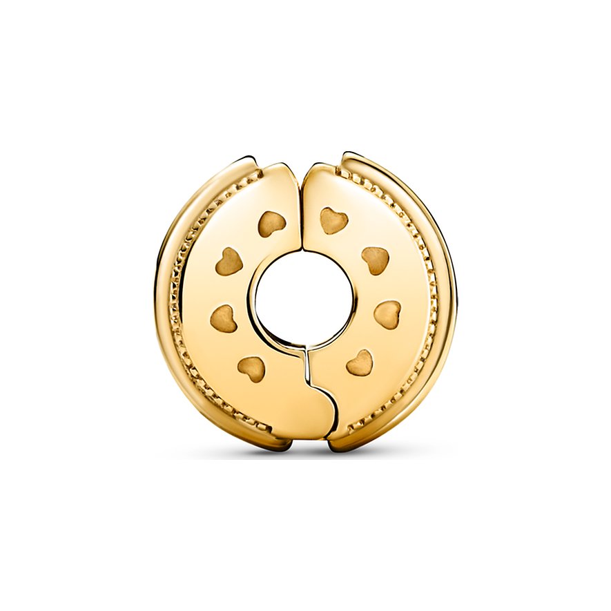 Pandora Charm Signature