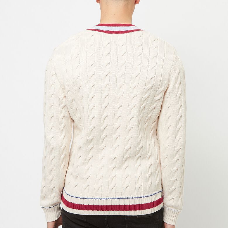 Lacoste Tricot bleu marine/vert