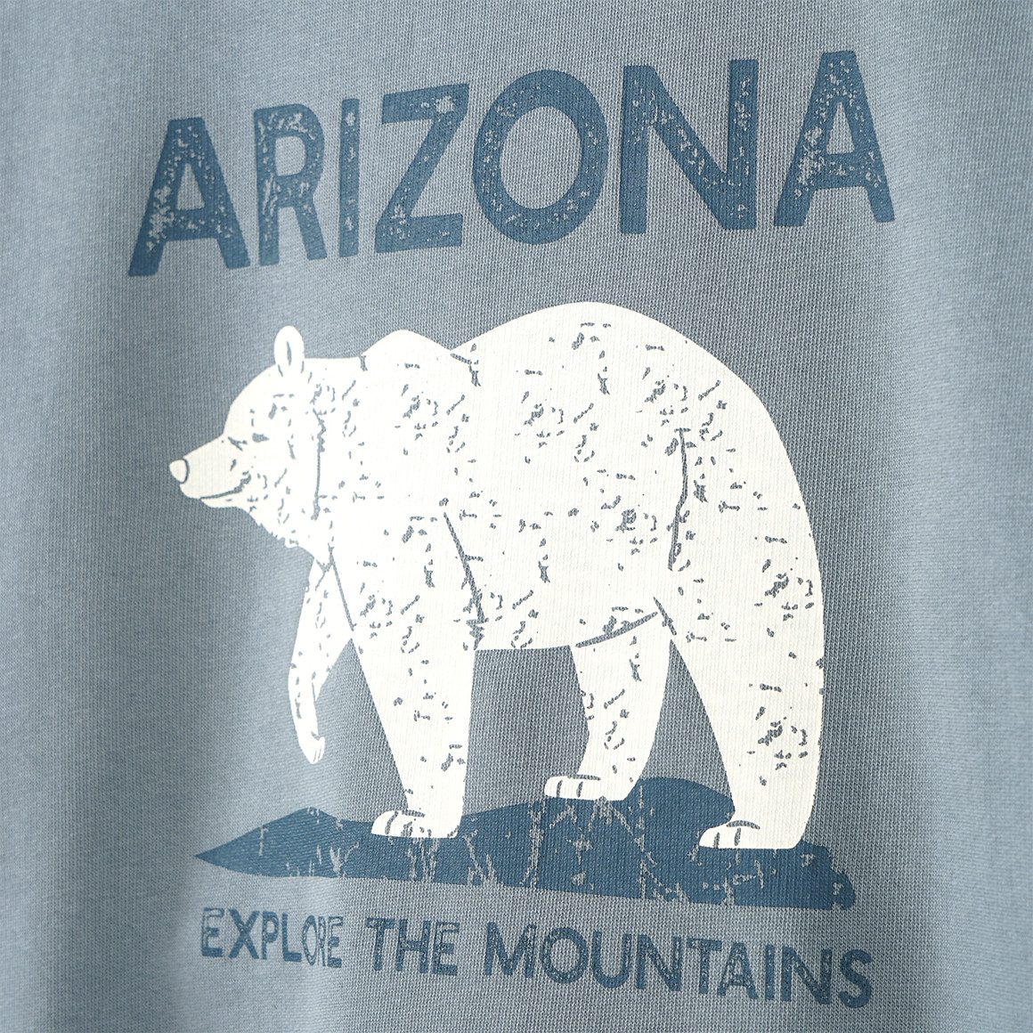Jungen Sweatshirt mit Front-Print