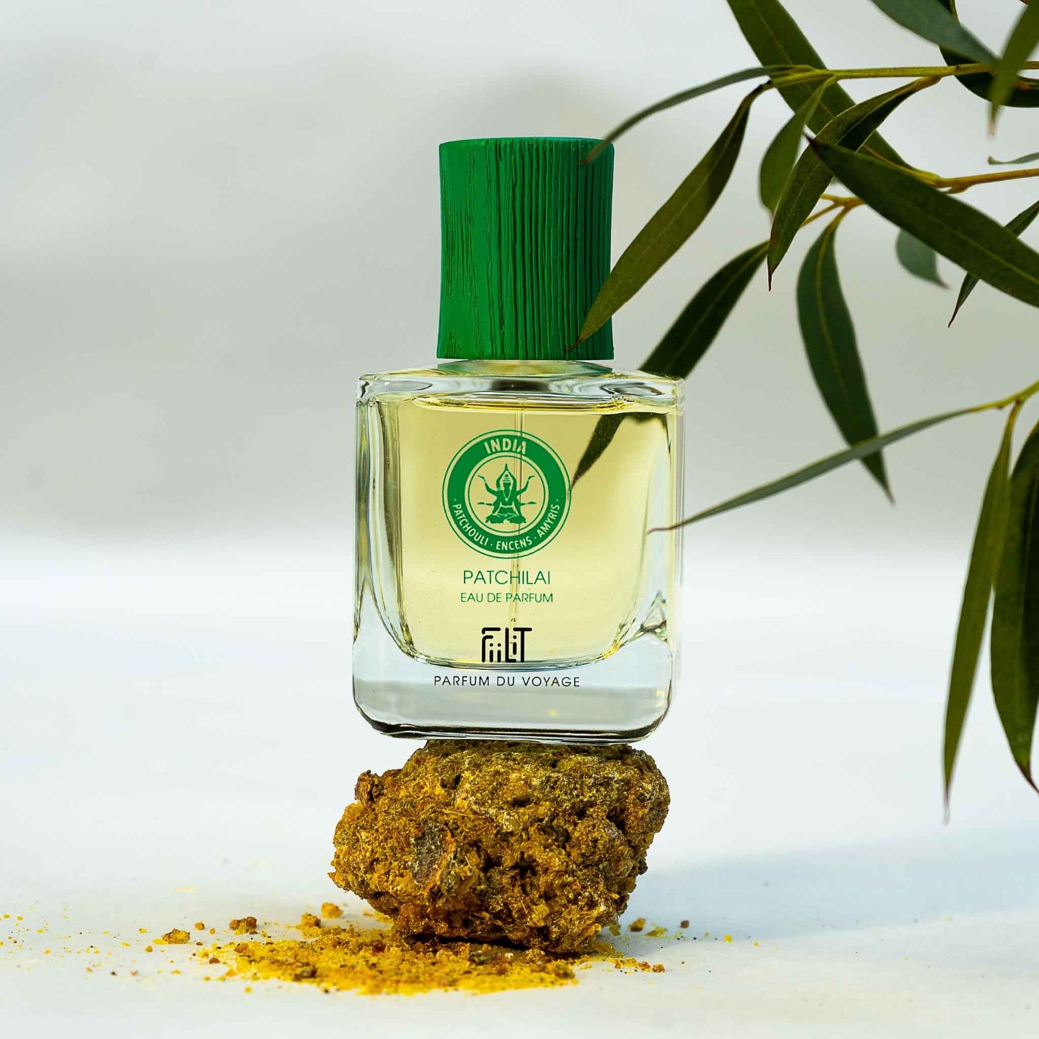 FiiLiT PATCHILAI - INDIJA