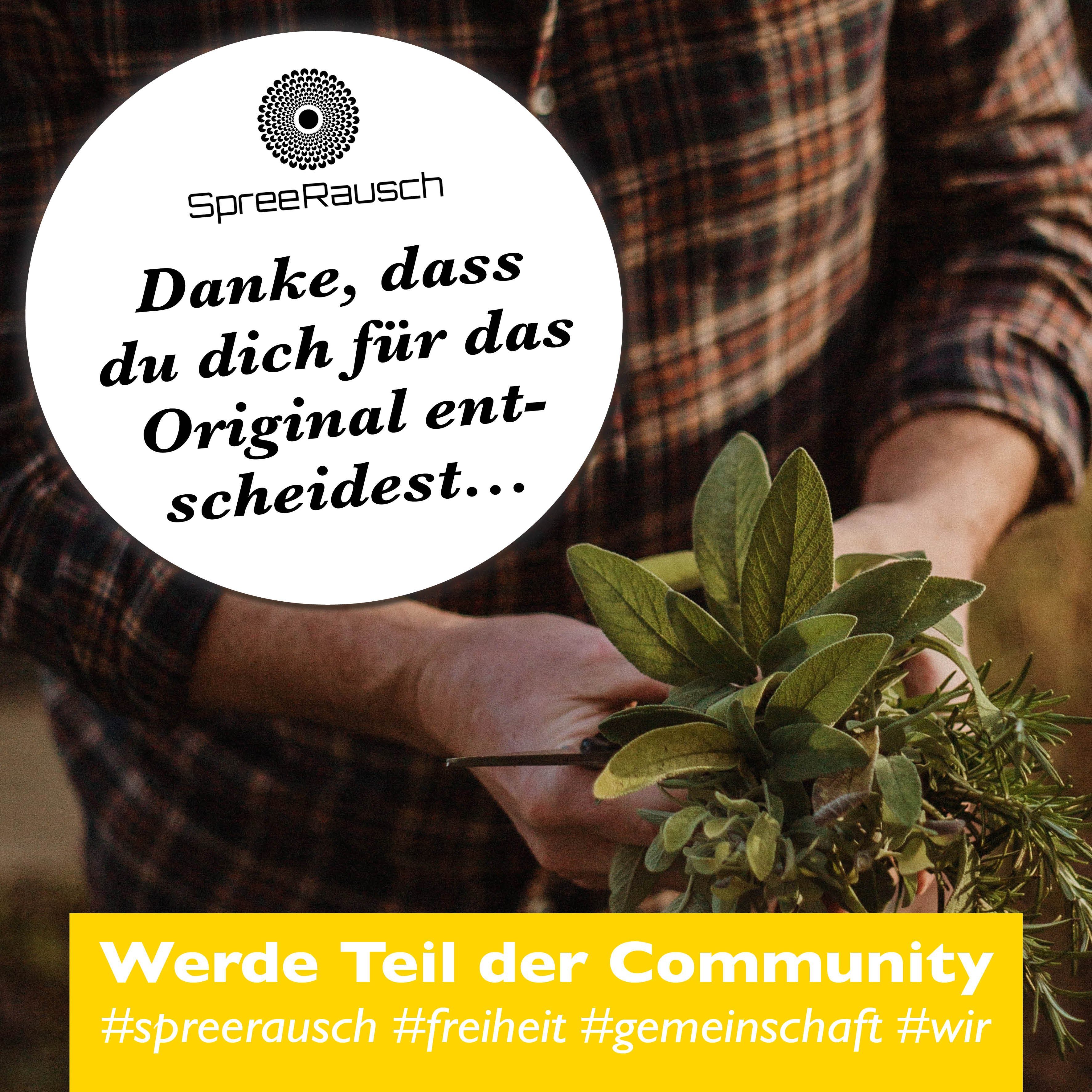 spreerausch Kräuterkissen Lavendel Beifuss Tee-Mischung, die ORIGINAL Kräutermischung, Bekannt aus TikTok