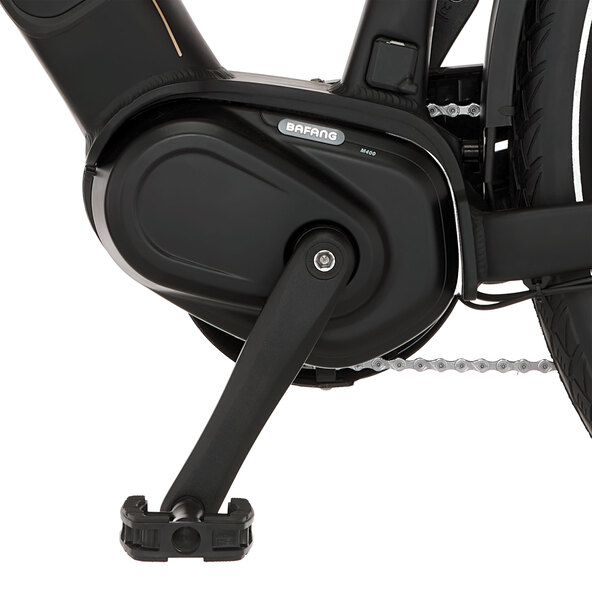 Trekking E-Bike VIATOR 4.2I 522