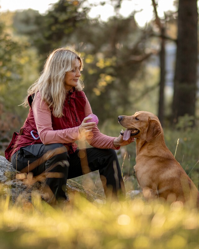 Pinewood Damen Weste Dog Sports Expert