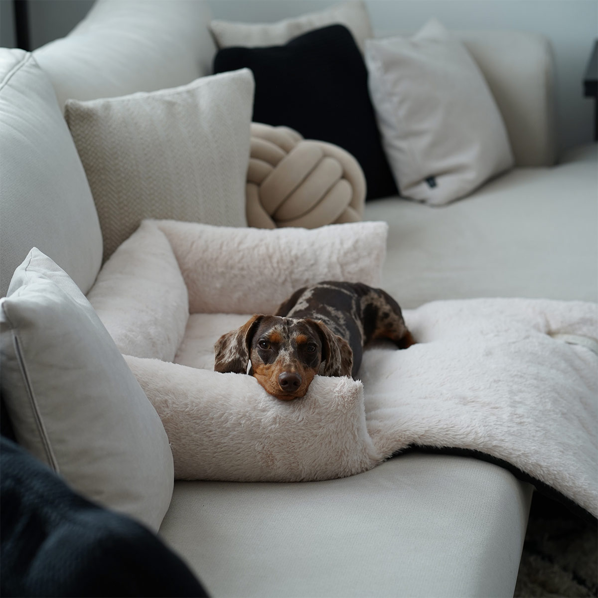 District 70 Sofa Bett NUZZLE merengue günstig kaufen bei ZooRoyal